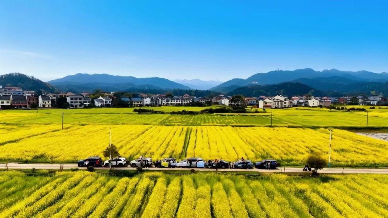 4471c367be3a8e9aec45a3d00d2acb5