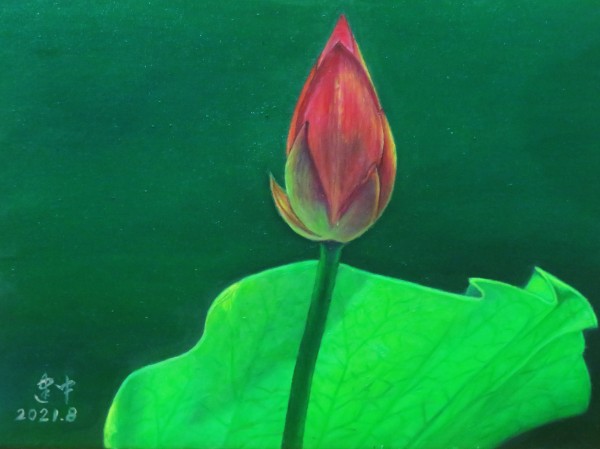 ������ʮ���塢�ܶ�����ʱ����Խʱ����������������