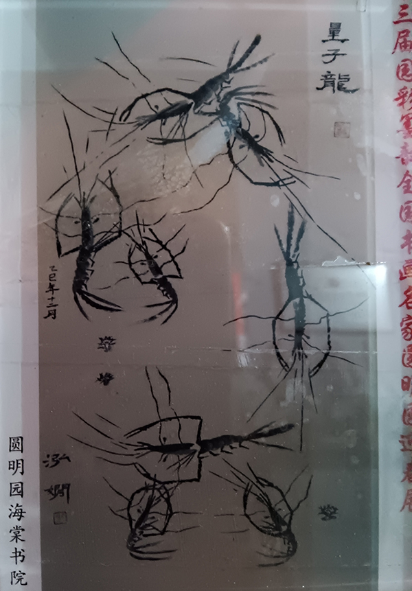 ���������ͼ�ֵ�캽�������Ƽ�����������