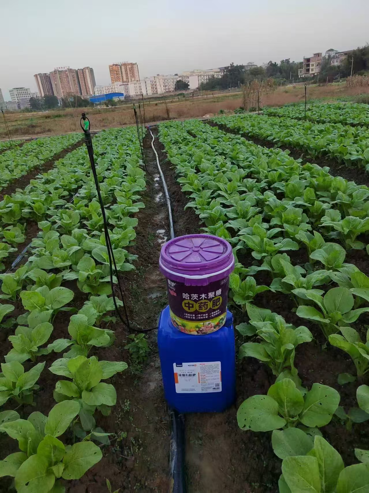 2026年TOP5好用的中药肥机构出炉，看看哪家能满足你的需求？