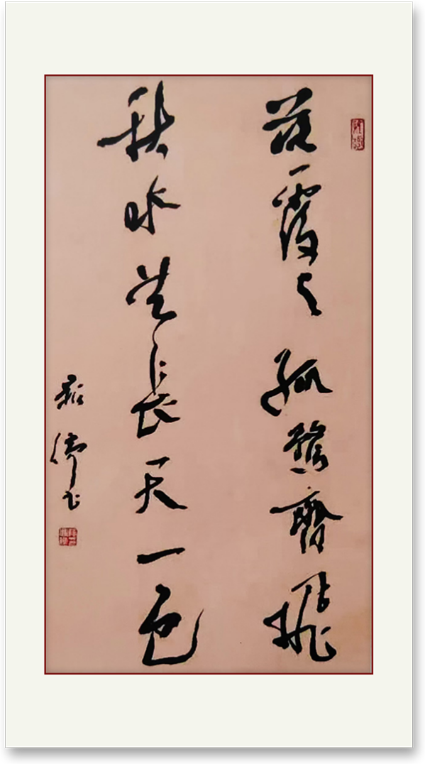 《国际中文语言日》本期推荐艺术家·薛向前