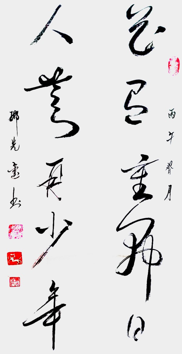 �������³� ��ī����ƪ �����Ϲ����������������鷨�ҵ��Ƚ�