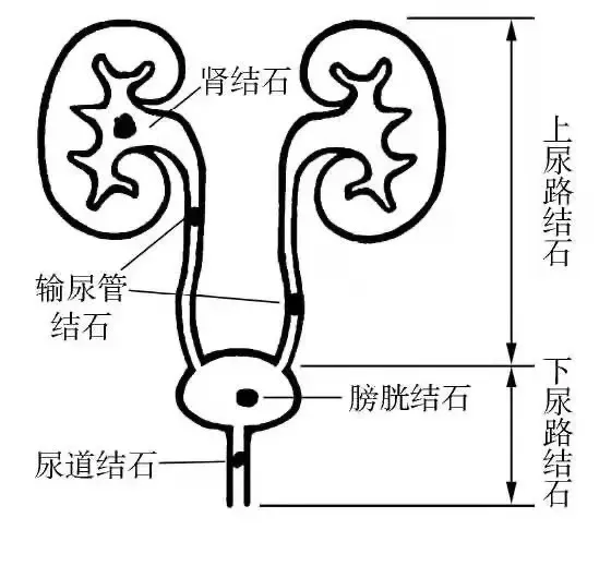 https://img2.danews.cc/upload/images/20260420/2788def1f35453fed9c28f46a60f7383.png