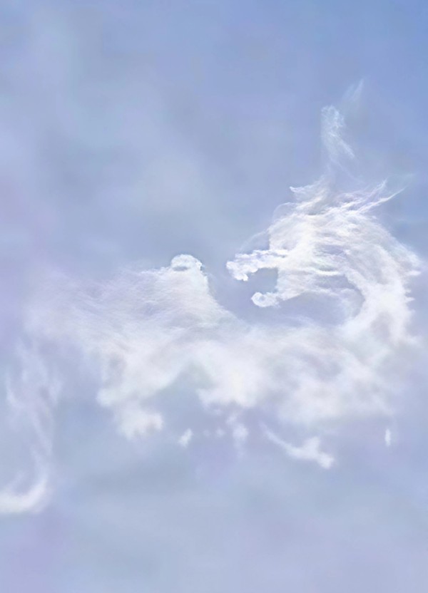 ������������������С������Ļ����Ŵ��е�ʦ������