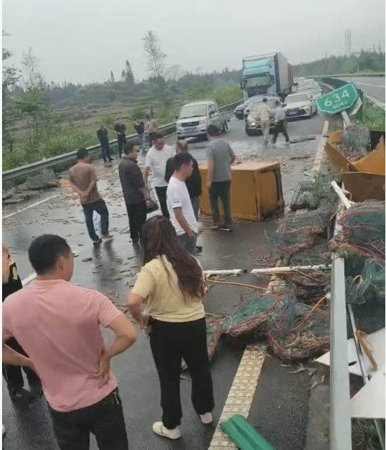 IMG_256