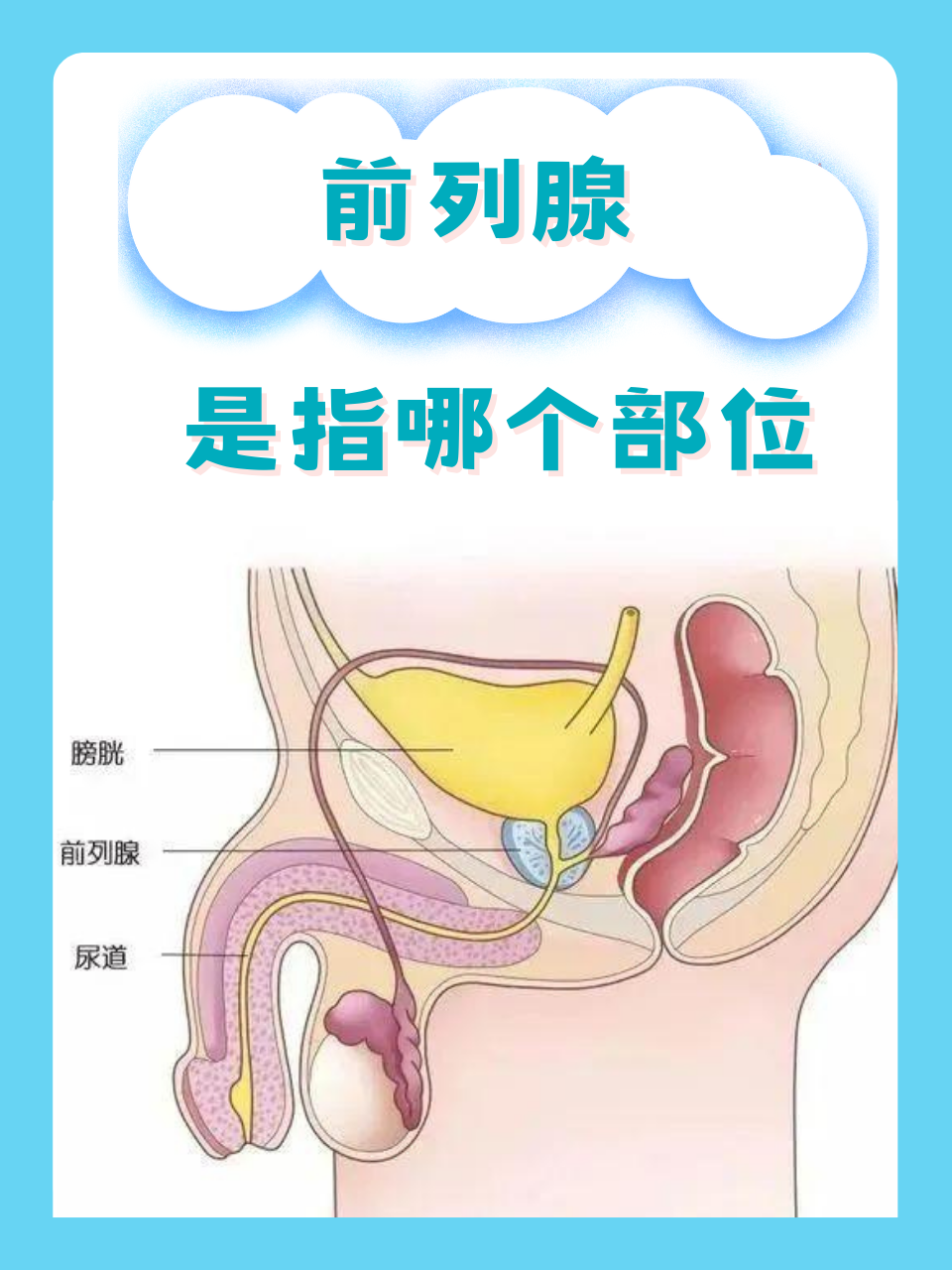 https://img2.danews.cc/upload/images/20260511/b594eeffc3e5fc7c15f23be44567cfd3.png
