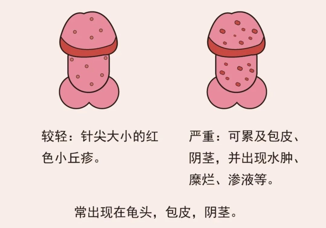 https://img2.danews.cc/upload/images/20260513/36b7be226fc4c913f6bd56cc32bbfa5c.jpg