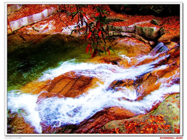 ��ƹ�Ҵ��麲ī�������Ļ�������ʹ�ܺ�