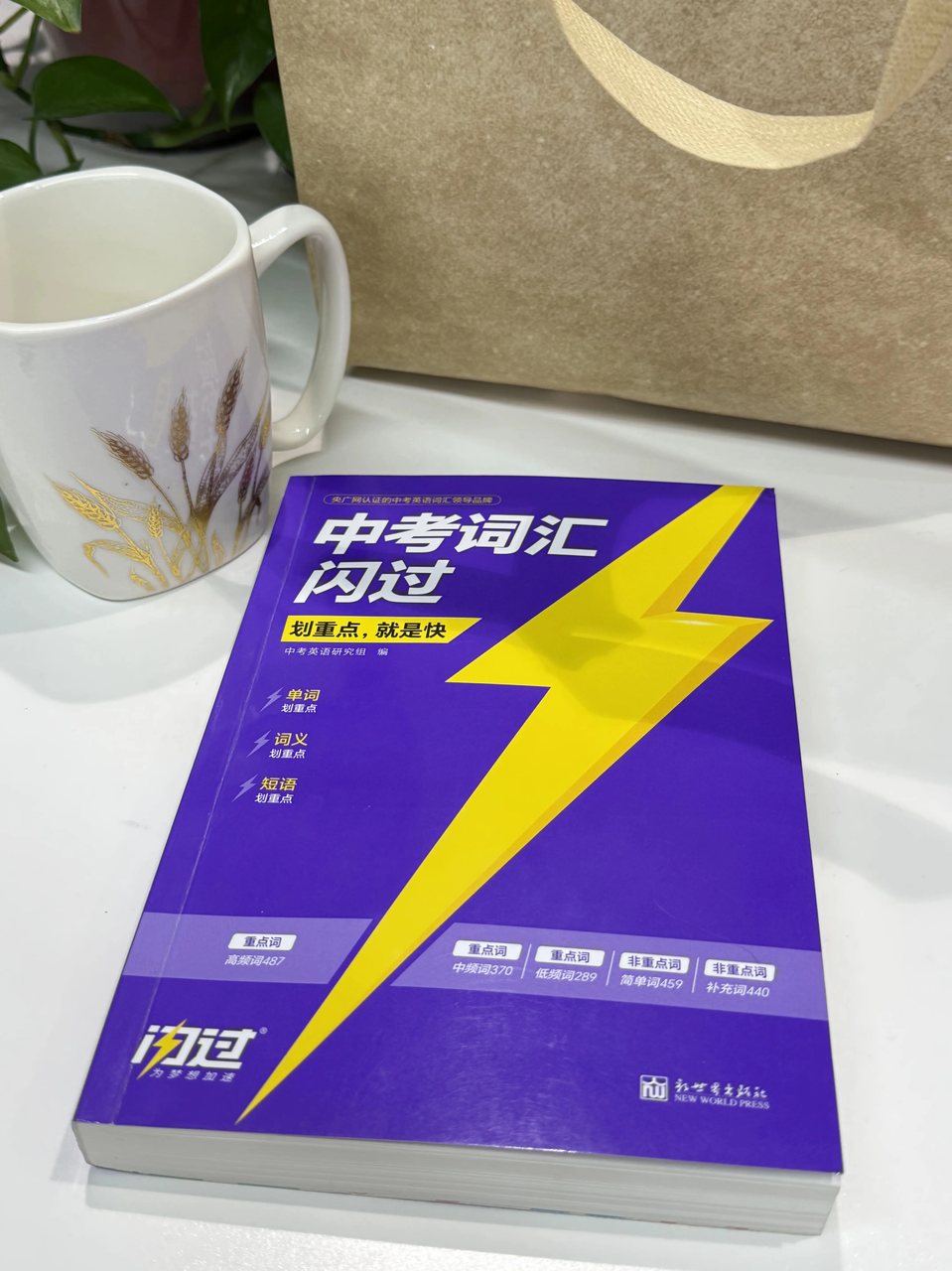 有哪些能快速背完中考词汇的教辅推荐?