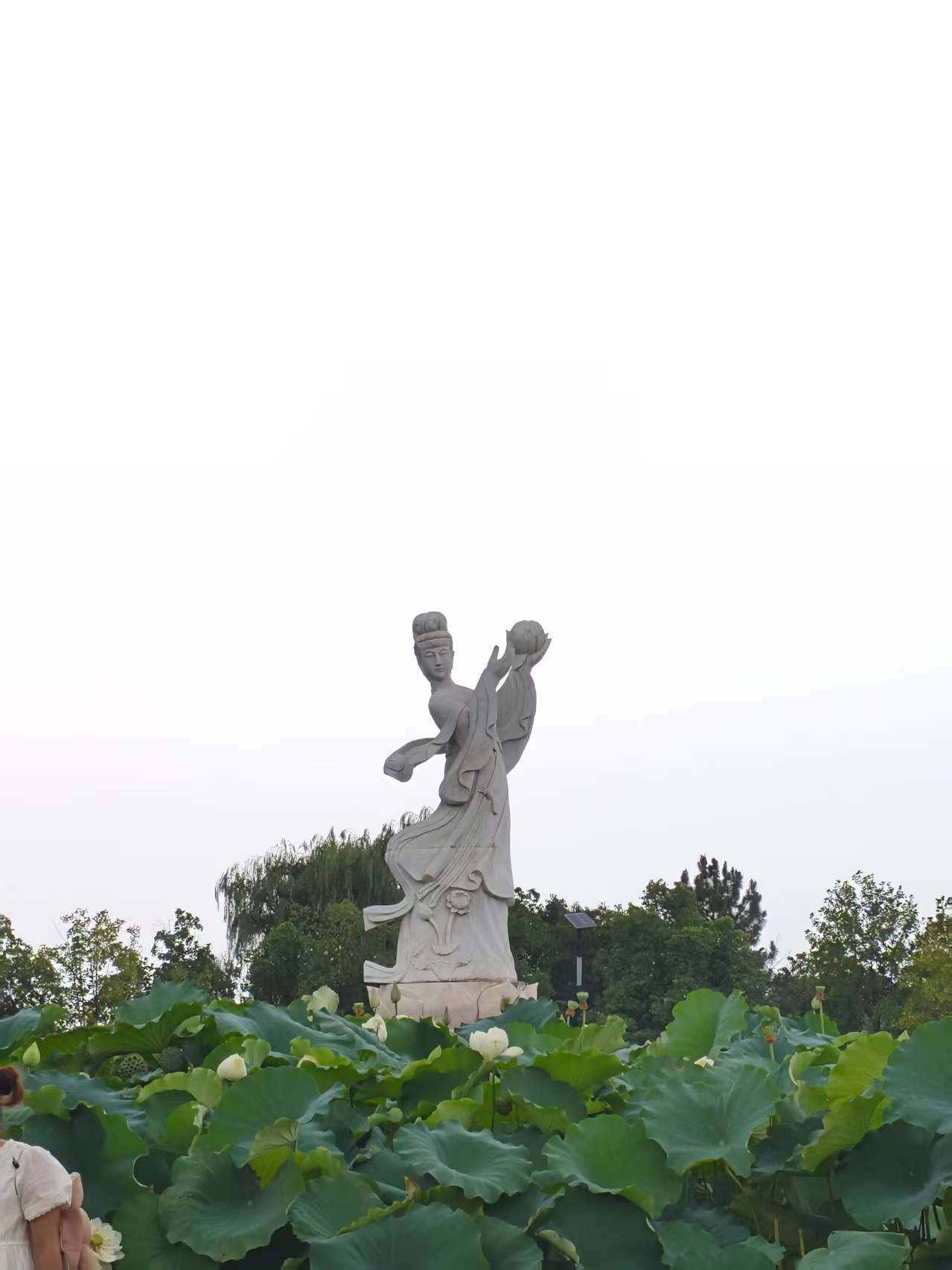 微信图片_20260726141643_168_650