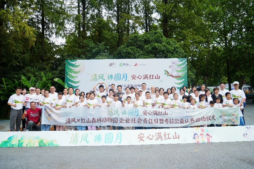 《一只考拉、23个娃、一面被贴爆的心愿墙：清风这个中秋把路人缘刷爆了》