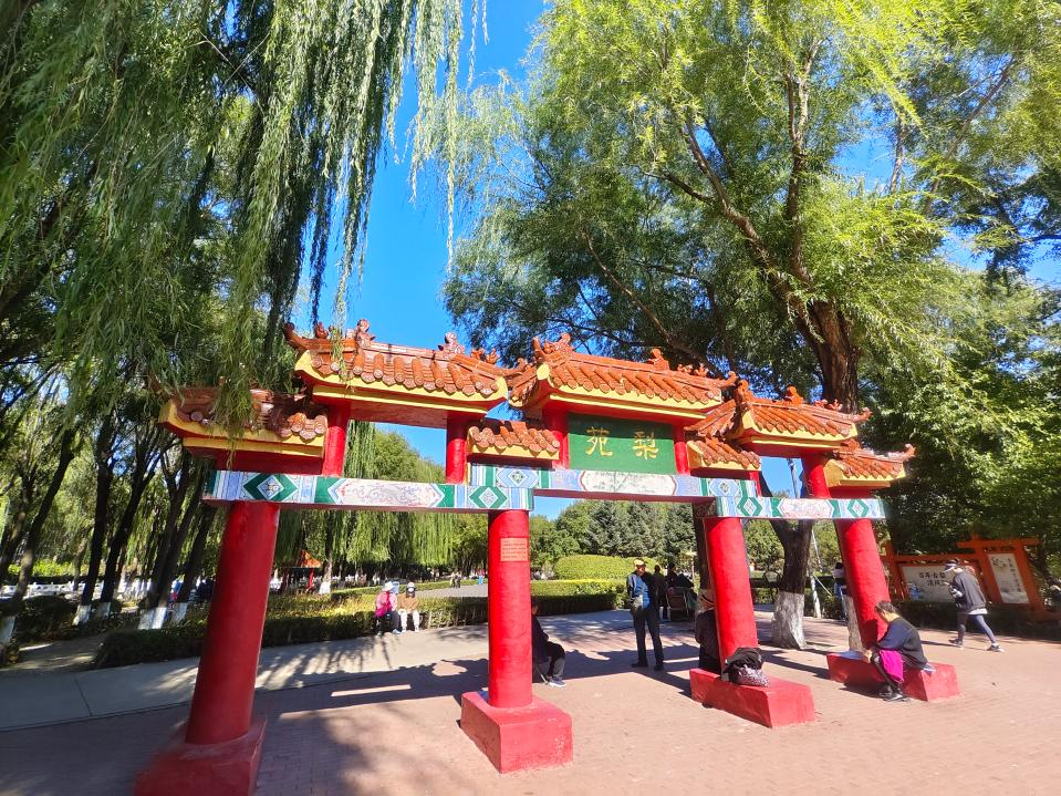 古梨迎秋 岁月留芳！哈尔滨古梨园百年古梨秋日景致引市民打卡