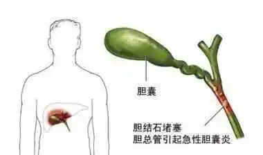 https://img2.danews.cc/upload/images/20261008/7909c9e68c51260b53e74ef30ef41cb1.png https://img2.danews.cc/upload/images/20261008/7909c9e68c51260b53e74ef30ef41cb1.png