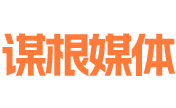 媒体投放系统